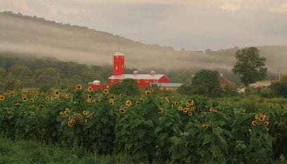 Black Dirt Distillery