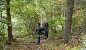 Sterling Forest State Park
