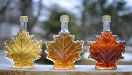 Maple Syrup