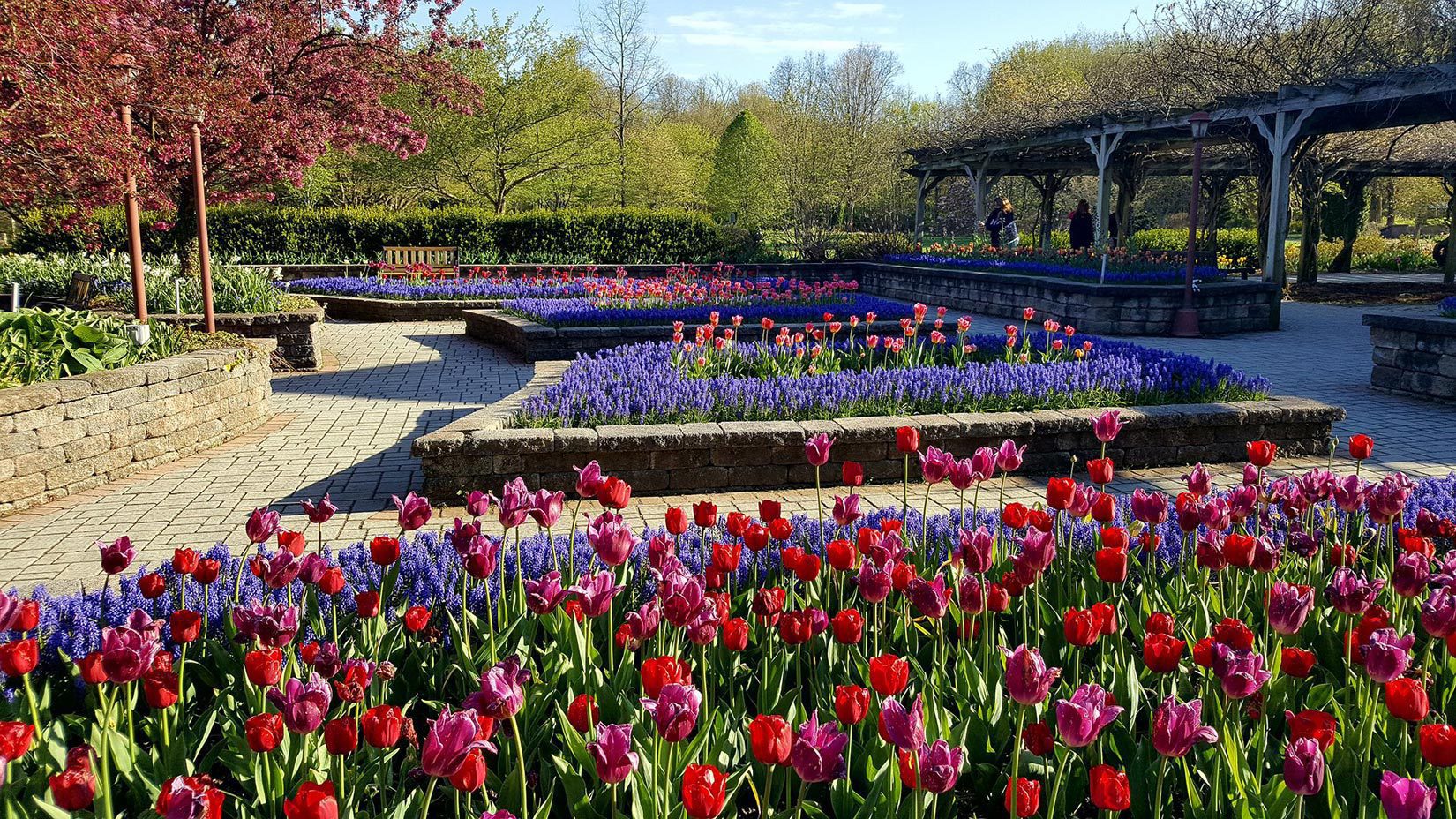Orange County Arboretum