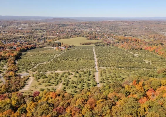 Winter Activities in Orange County