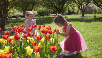 Girls smelling flowers in spring