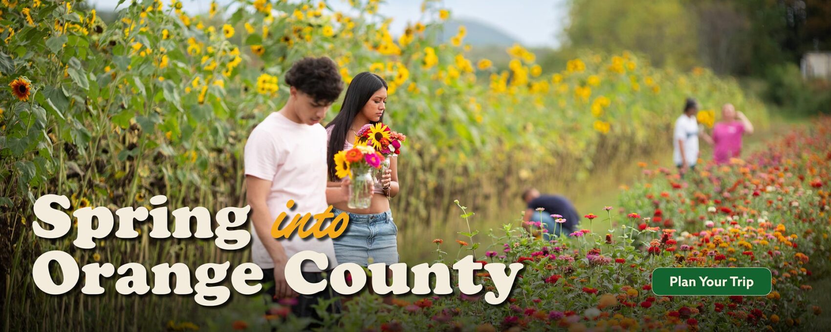 Spring in Orange County